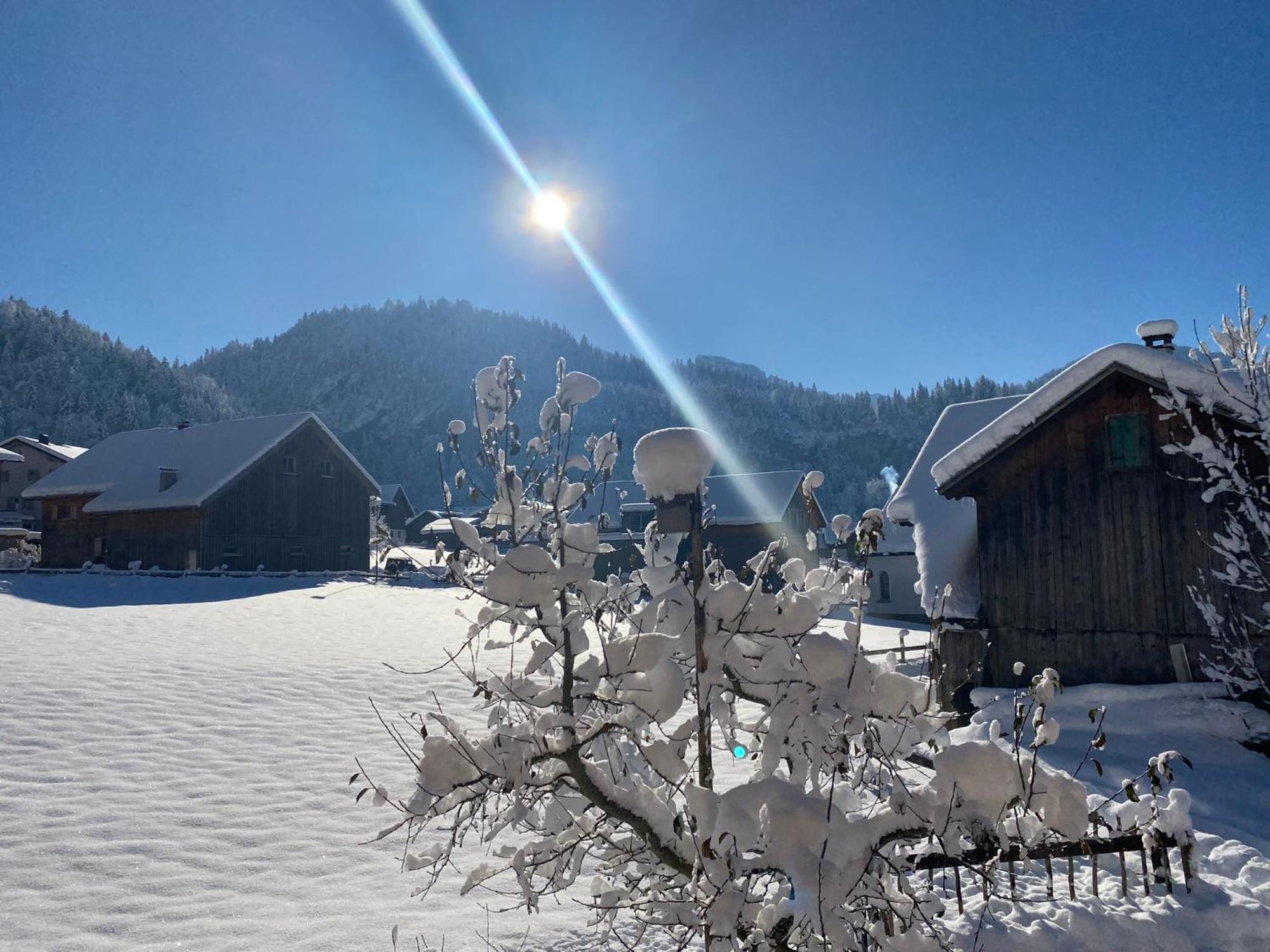 Bregenzerwaelderhaus Ambros Villa Bezau Dış mekan fotoğraf