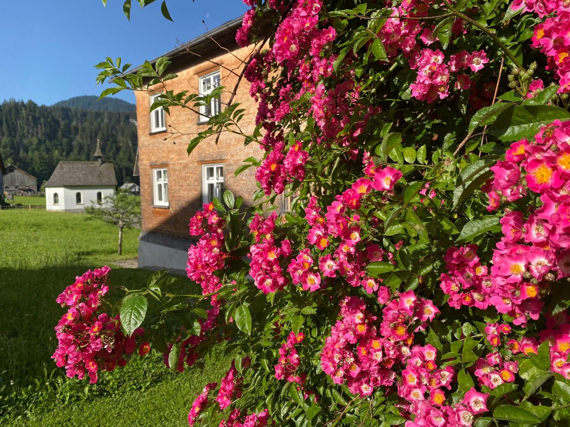 Bregenzerwaelderhaus Ambros Villa Bezau Dış mekan fotoğraf