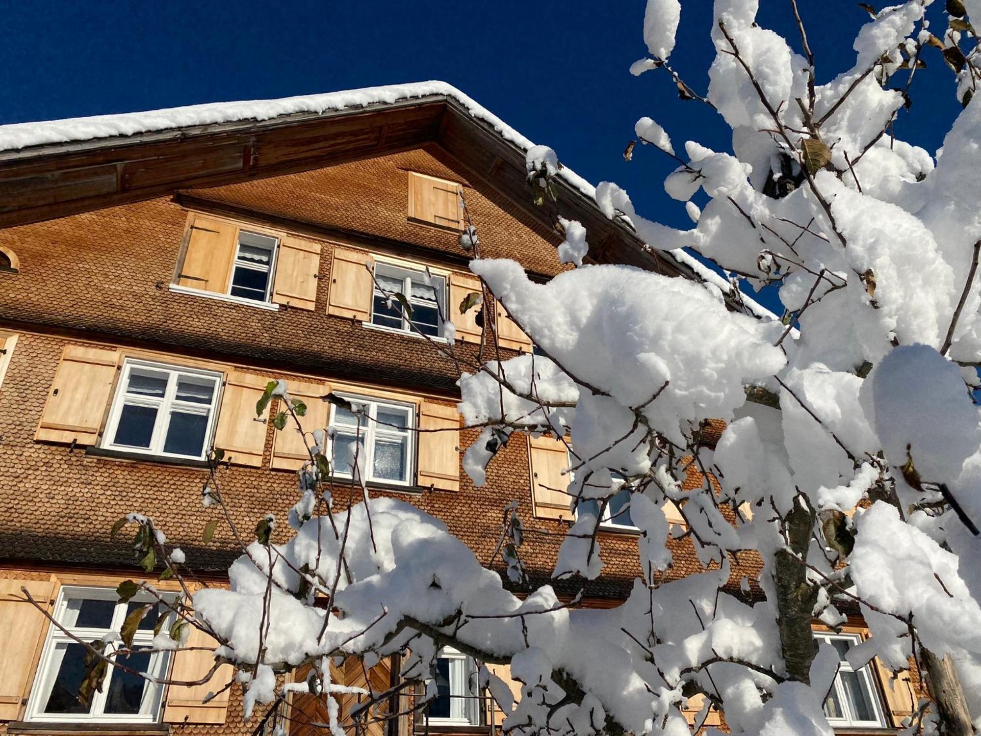 Bregenzerwaelderhaus Ambros Villa Bezau Dış mekan fotoğraf