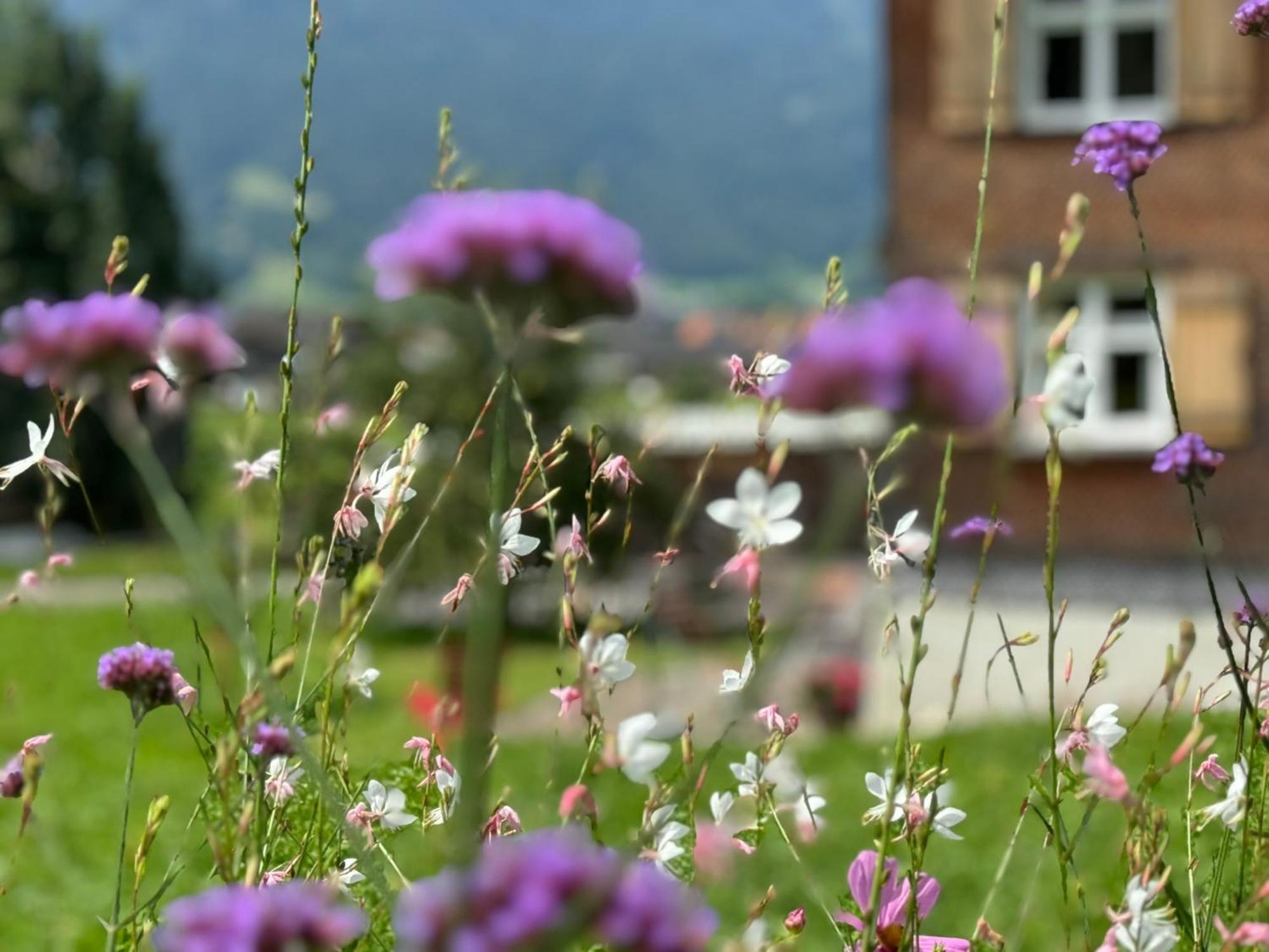 Bregenzerwaelderhaus Ambros Villa Bezau Dış mekan fotoğraf